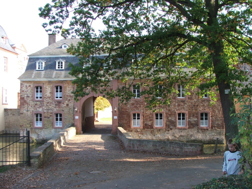 Image Image